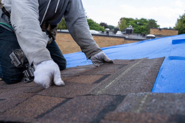 Best Roof Leak Repair  in Benton Harbor, MI